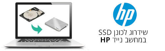 כונן SSD HP כונן SSD של HP